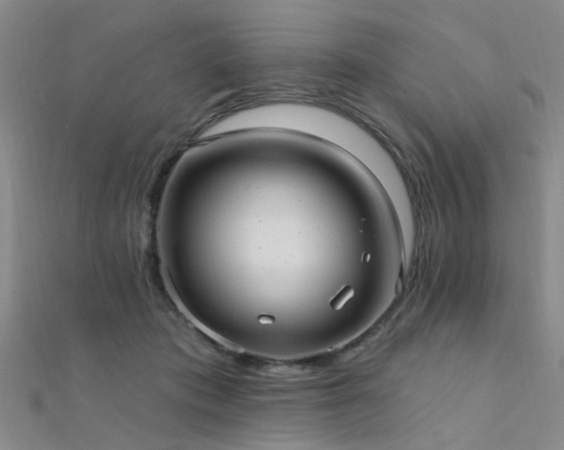 X0000112350413200908131432