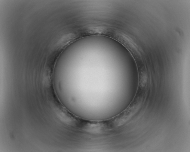 X0000112350414200908131432