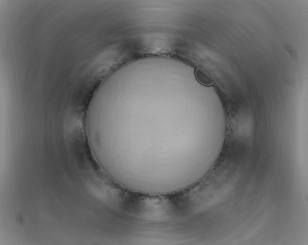 X0000112350415200908131432