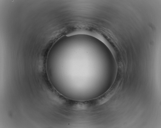 X0000112350416200908131432