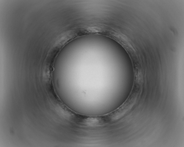 X0000112350418200908131432