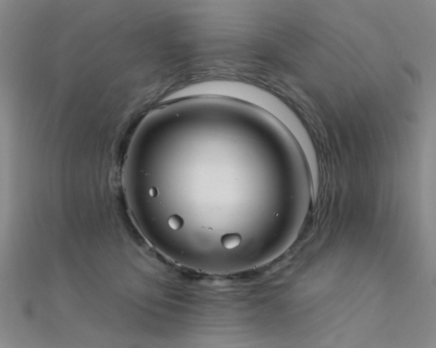 X0000112350419200908131432