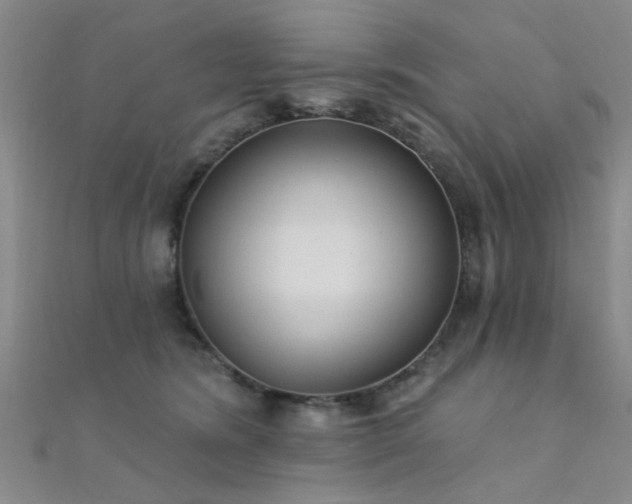 X0000112350420200908131432