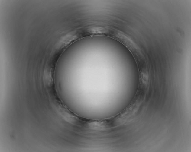 X0000112350422200908131432