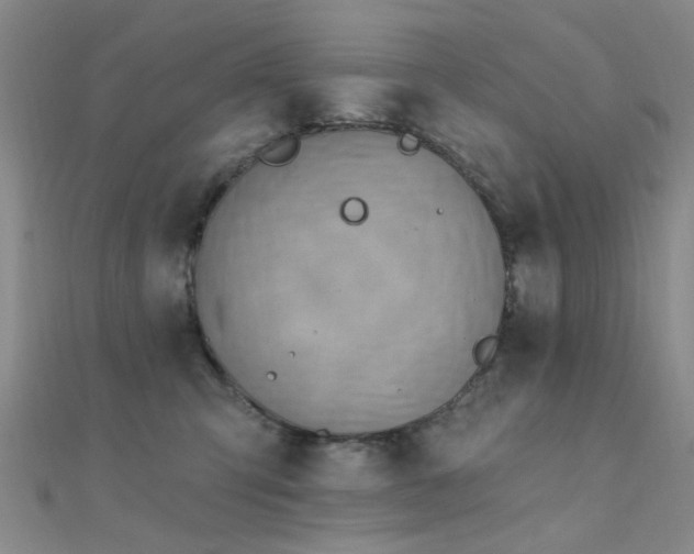 X0000112350423200908131432