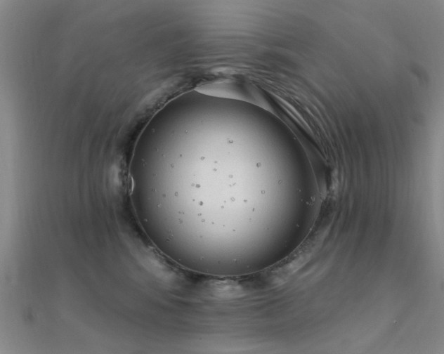 X0000112350424200908131432