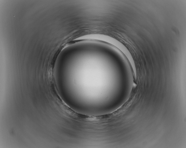 X0000112350425200908131432
