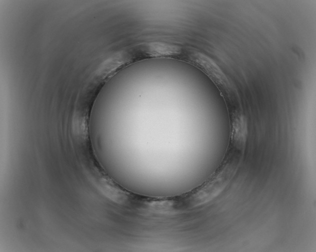 X0000112350426200908131432