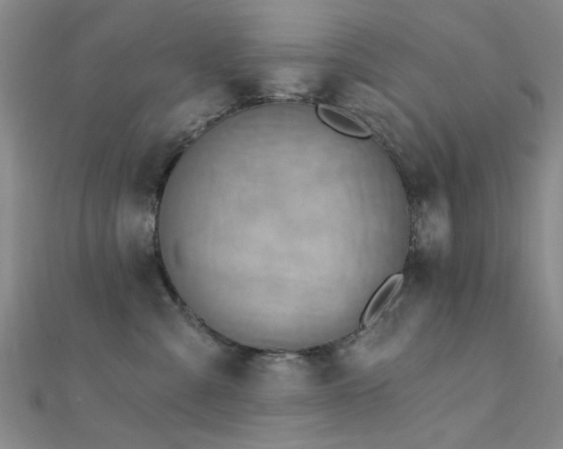 X0000112350427200908131432