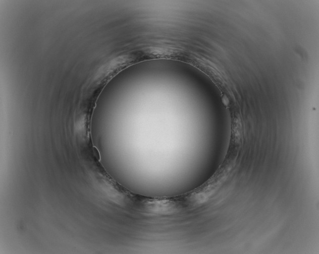 X0000112350428200908131432