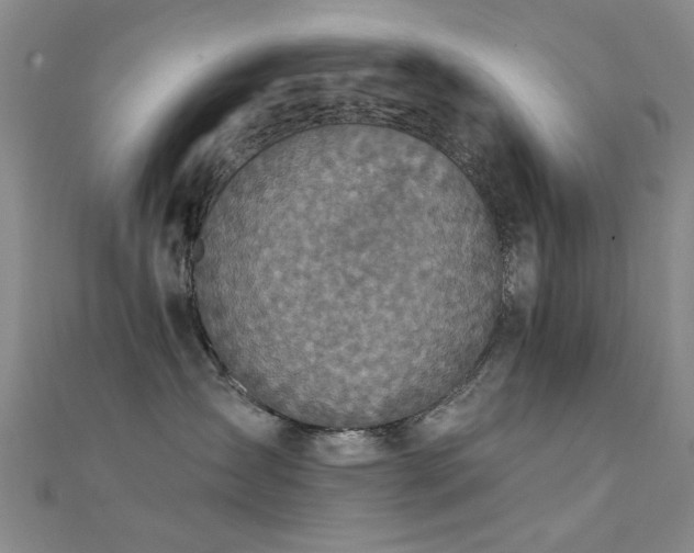 X0000112350431200908131432