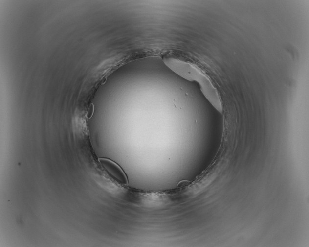 X0000112350432200908131432