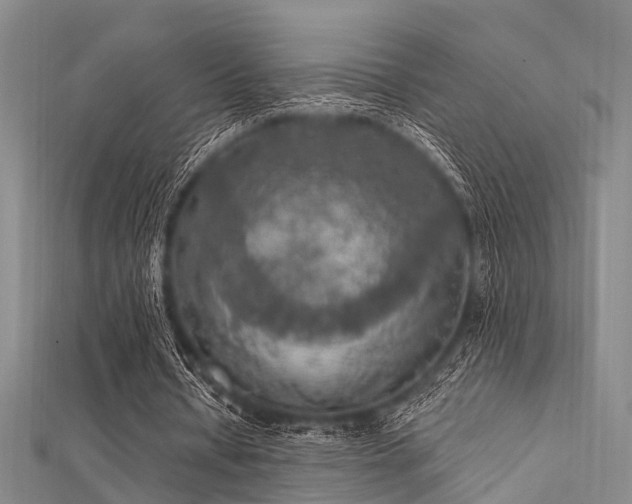 X0000112350434200908131431