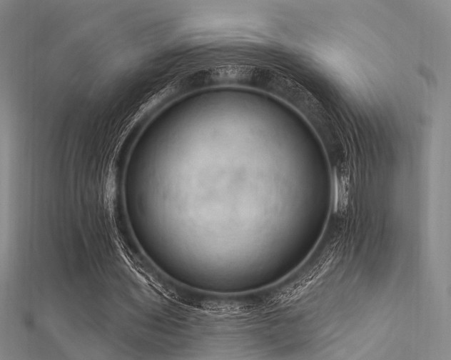 X0000112350435200908131431
