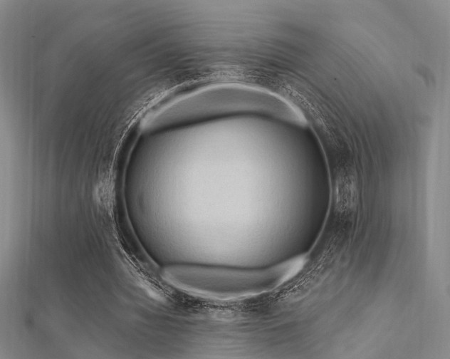 X0000112350436200908131431