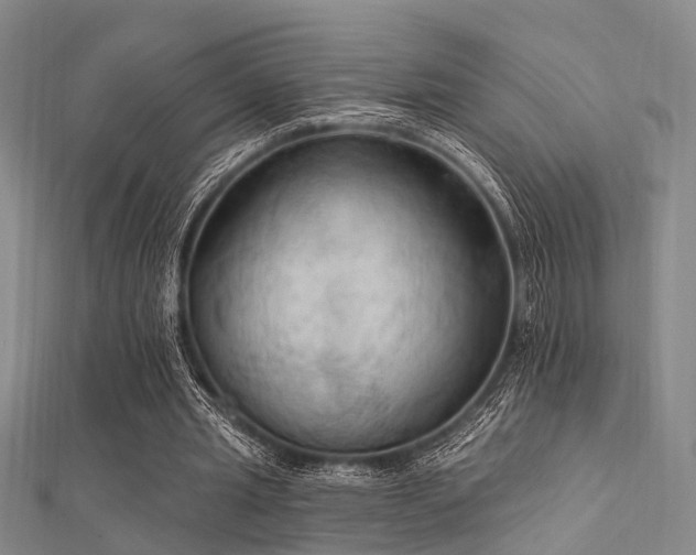 X0000112350437200908131431
