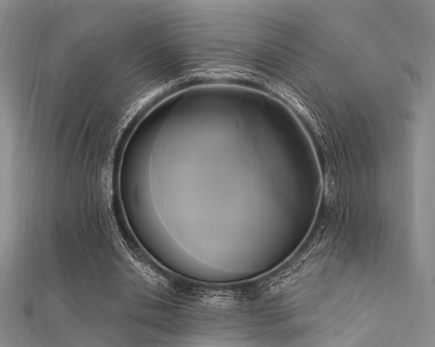 X0000112350438200908131431