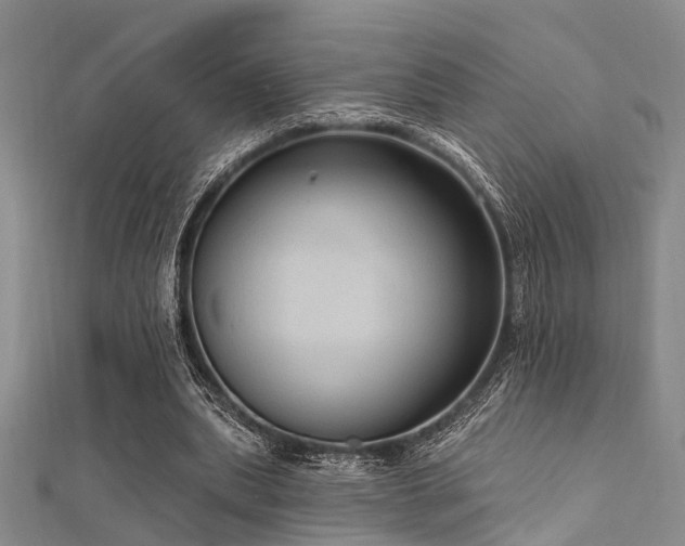 X0000112350439200908131431