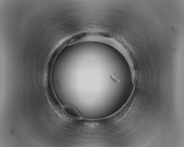 X0000112350440200908131431