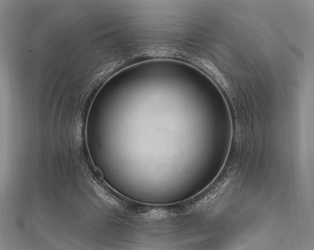 X0000112350441200908131431