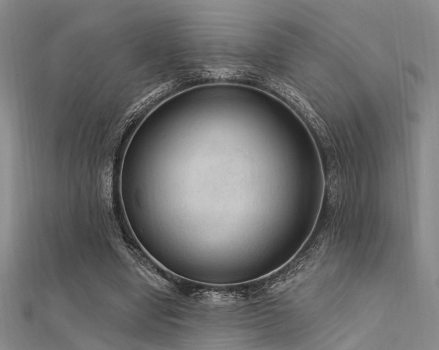 X0000112350442200908131431