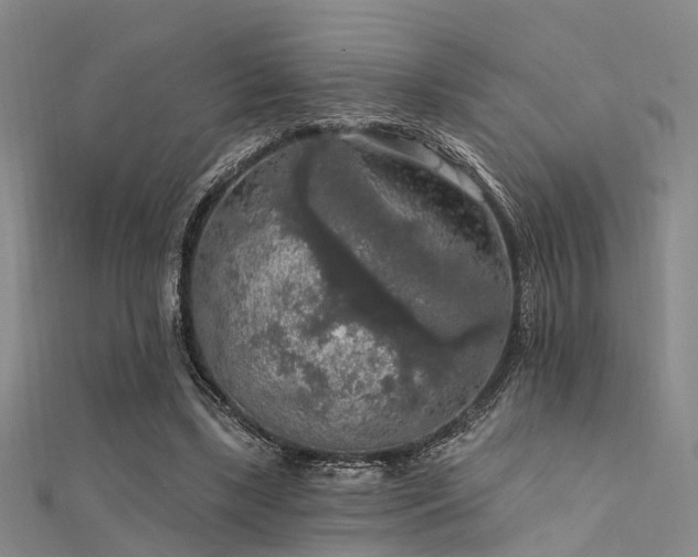 X0000112350443200908131431