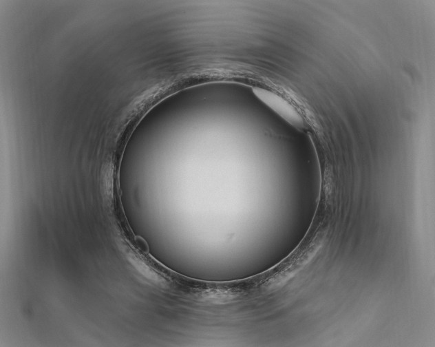 X0000112350445200908131431