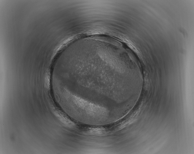 X0000112350446200908131431