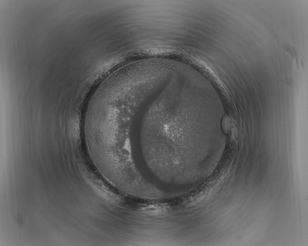 X0000112350447200908131431