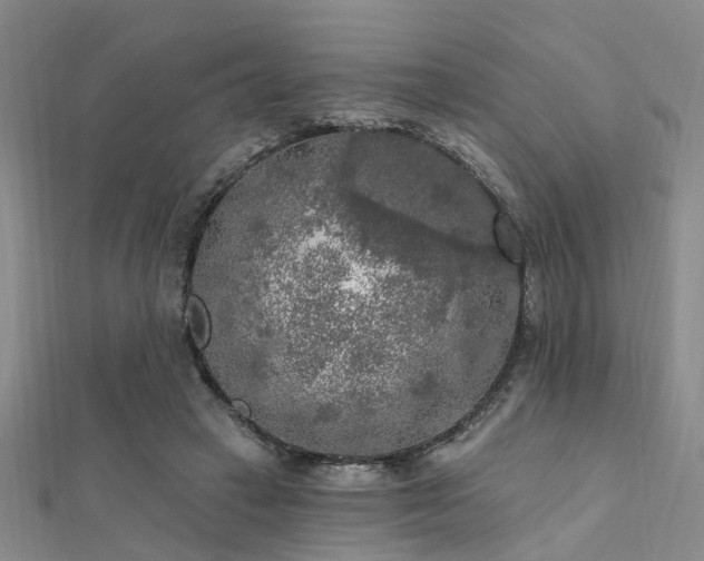 X0000112350449200908131431