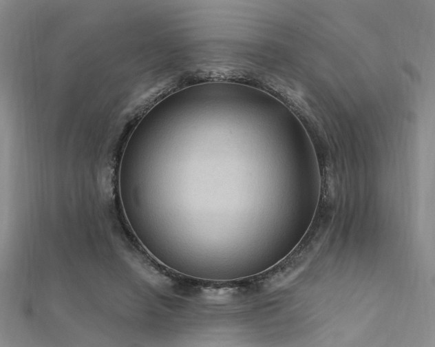 X0000112350450200908131431
