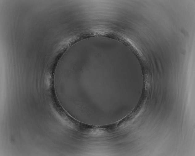 X0000112350451200908131432