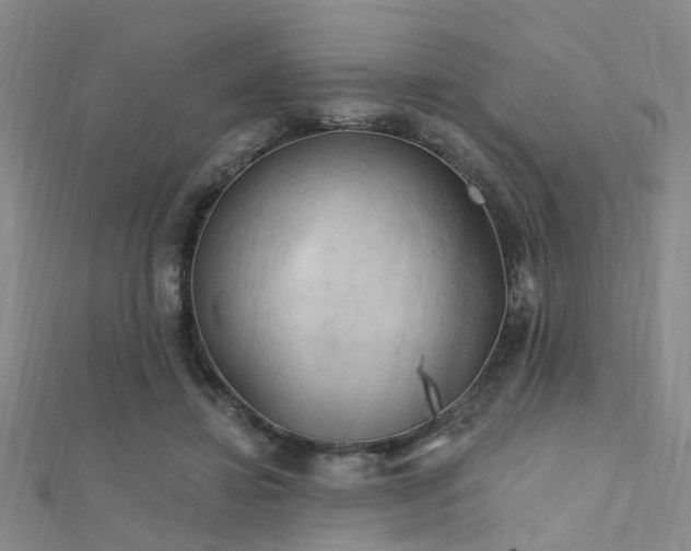 X0000112350452200908131432