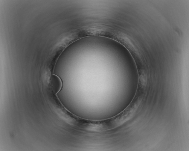 X0000112350458200908131432