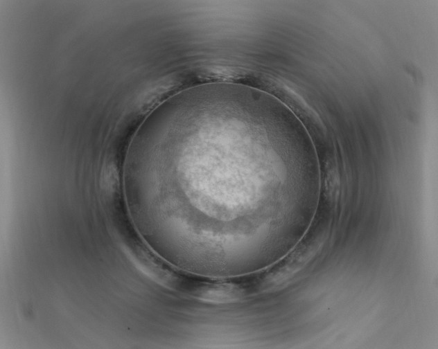 X0000112350459200908131432