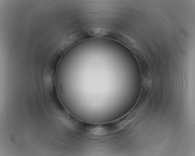 X0000112350460200908131432