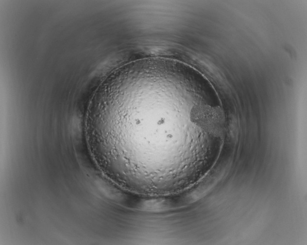 X0000112350461200908131432