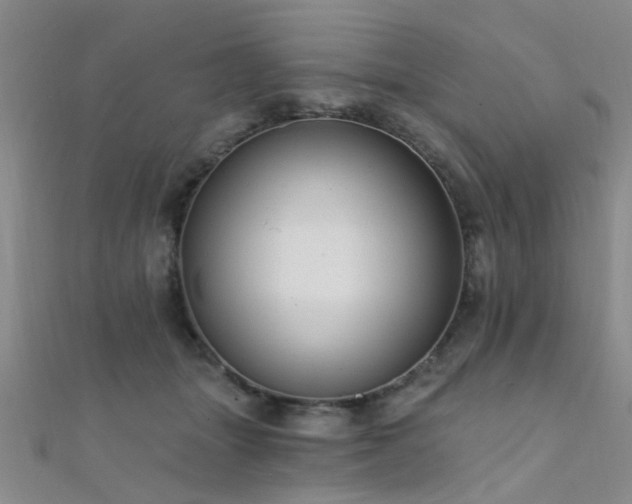 X0000112350463200908131432