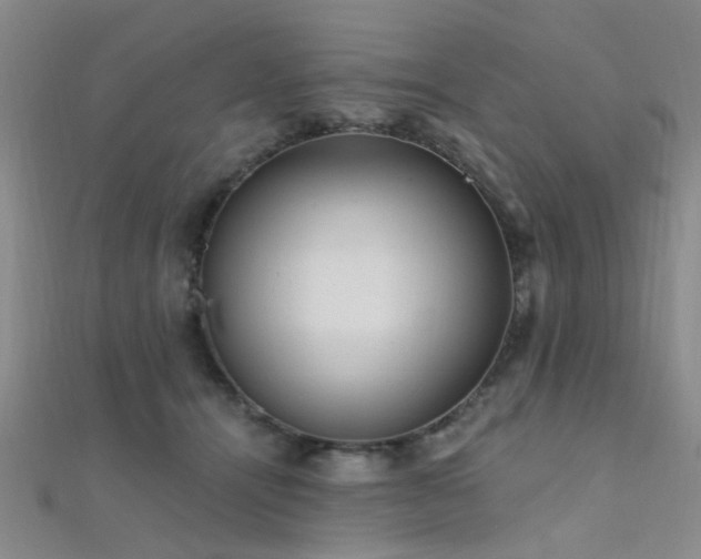 X0000112350464200908131432
