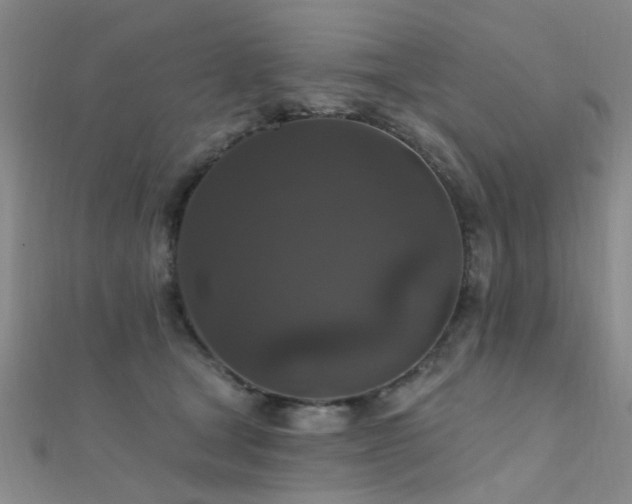 X0000112350465200908131432