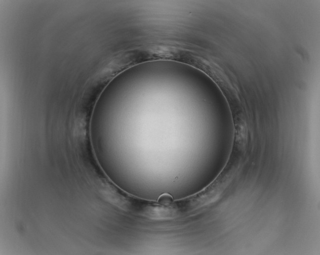 X0000112350466200908131432