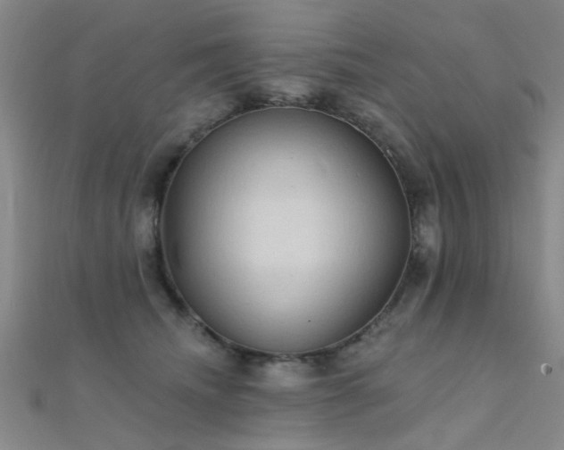 X0000112350468200908131432