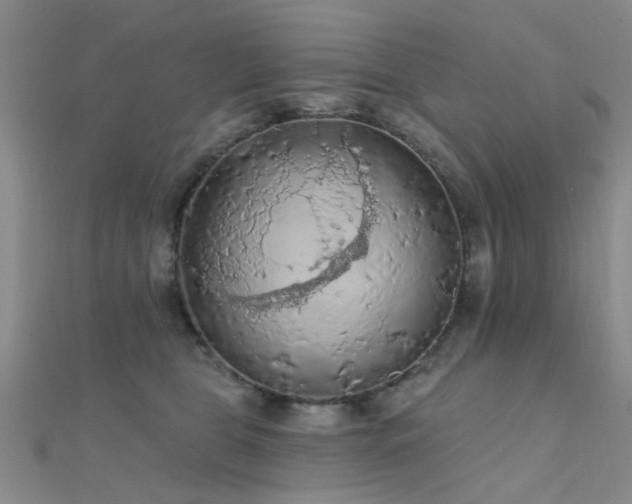 X0000112350469200908131432
