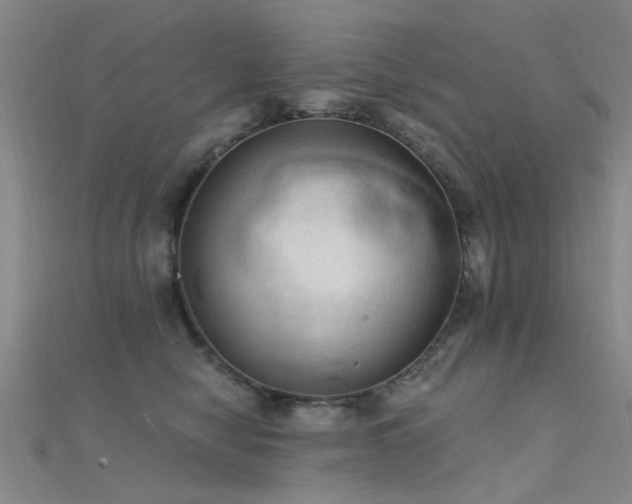 X0000112350470200908131432
