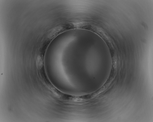 X0000112350471200908131432