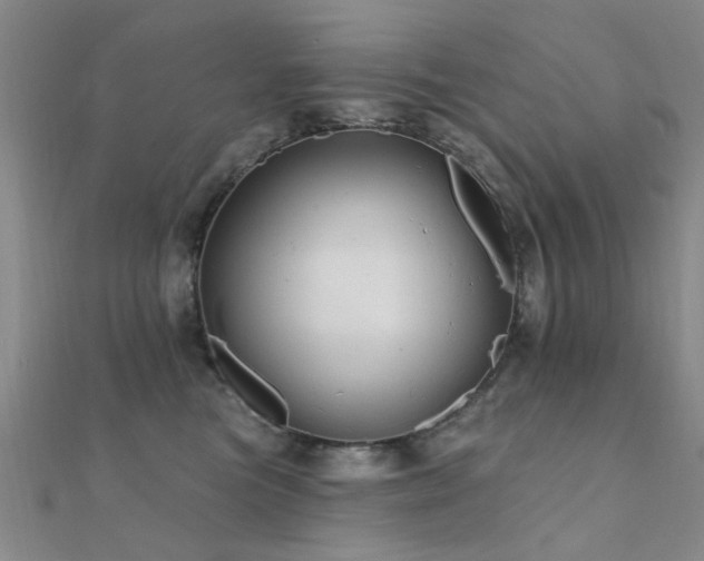 X0000112350473200908131432
