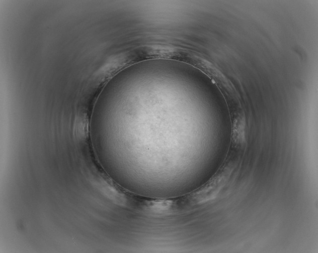 X0000112350474200908131432