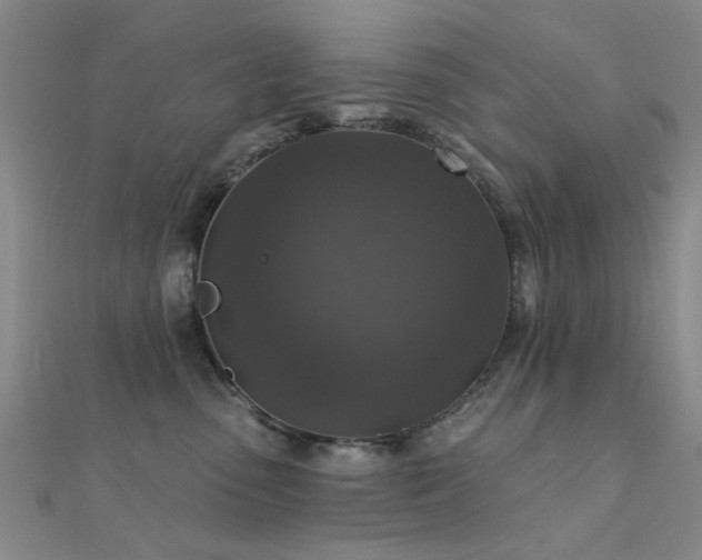 X0000112350475200908131432