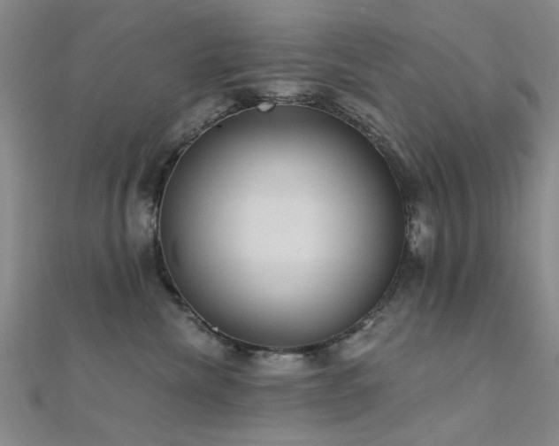 X0000112350476200908131432
