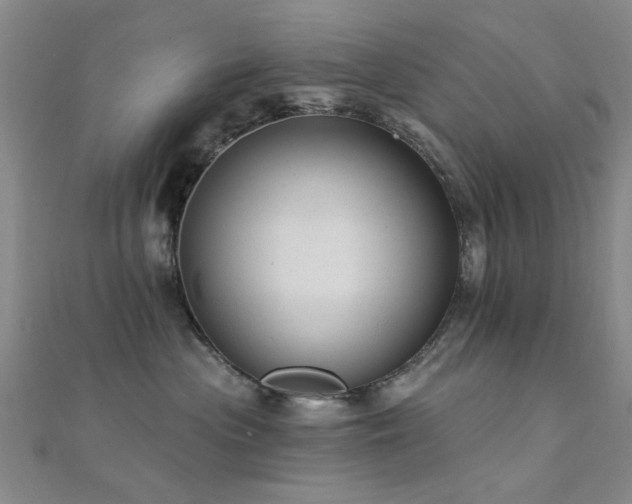 X0000112350477200908131432